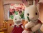 Sylvanian Families, le film : sortie nationale et avant-premières à travers la France !