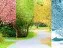 Les 72 micro-saisons du Japon